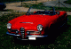[thumbnail of 1962 Alfa Romeo Giulia Spider.jpg]